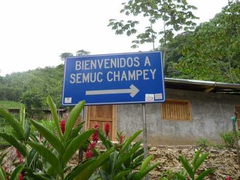 semuc champey bienvenidos