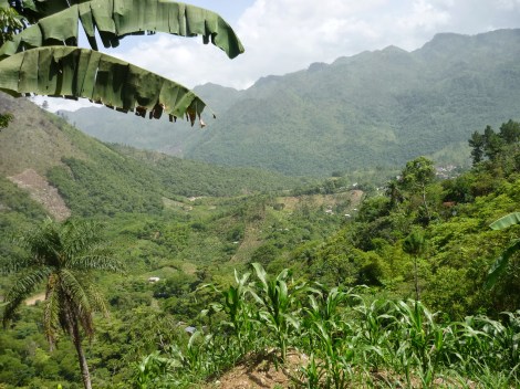 semuc green landscape