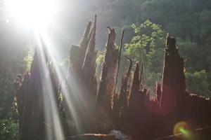 ciudad perdida return