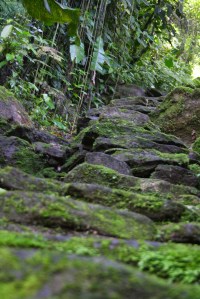 ciudad perdida steps