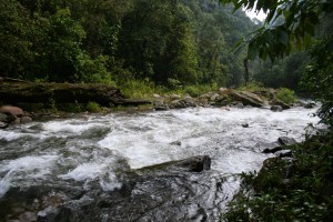ciudad perdida trek river