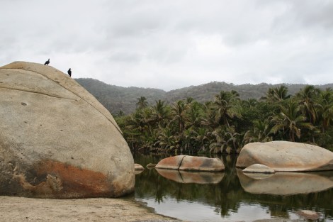 tayrona arrecifes