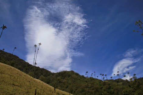 salento valle de cocora