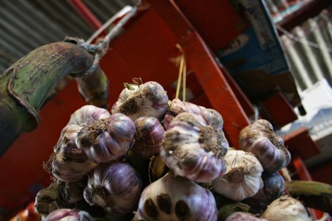 san agustin market - garlic