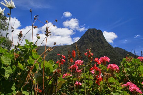 valle de cocora view