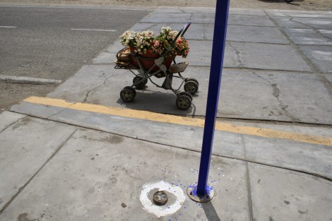 huanchaco pram with flowers