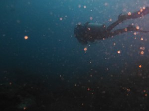 gunilla in northern colombia