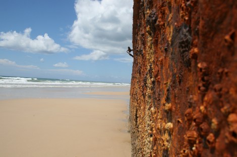 fraser island shipwreck