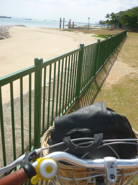 singapore cycling