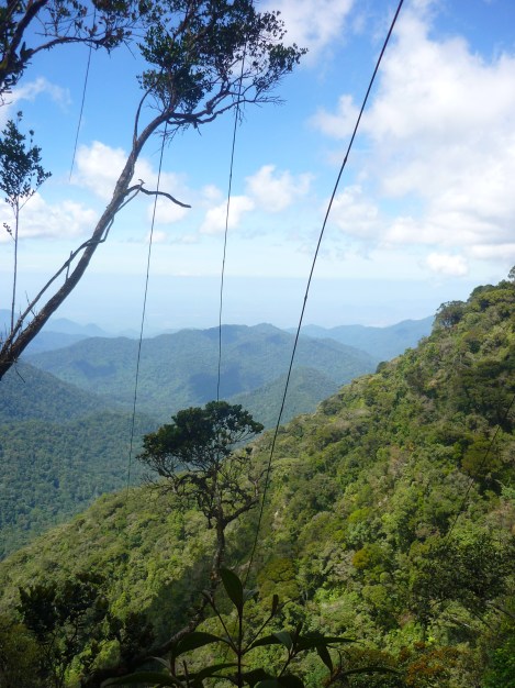 cameron highlands trekking
