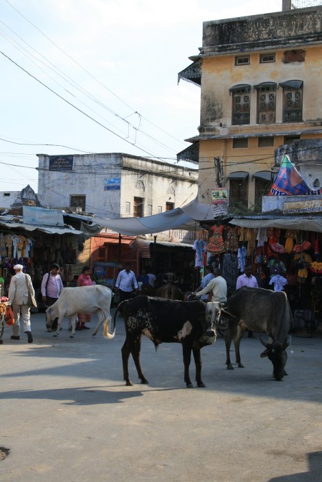 pushkar high street
