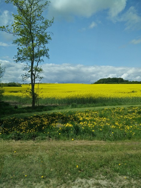 01 IMG_20160514_134833